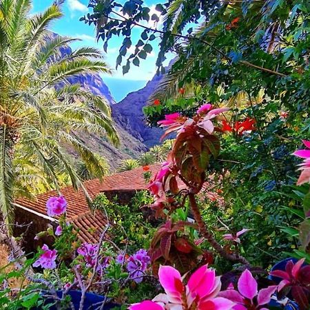 Ocean View Tenerife 산미겔데아보나 외부 사진